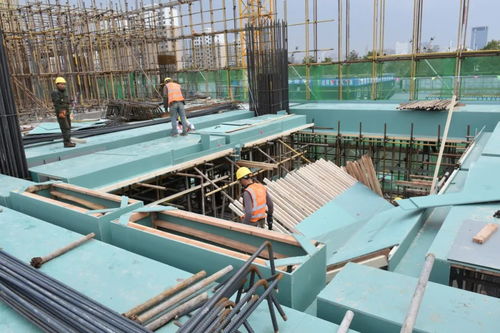 2021第五届中国任丘模板脚手架展销对接峰会圆满落幕 建筑材料行业的新里程碑